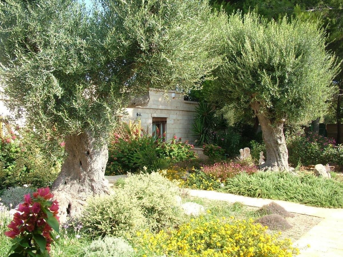 Villa Urania Torre San Giovanni Ugento Kültér fotó